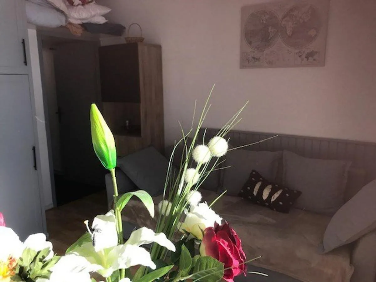 Studio Cabine 4 Pers - Pied Des Pistes - Parking Couvert - Balcon Sud - Tv - Animaux Ok - Fr-1-404-212 ラ・モンジー 0*,  フランス